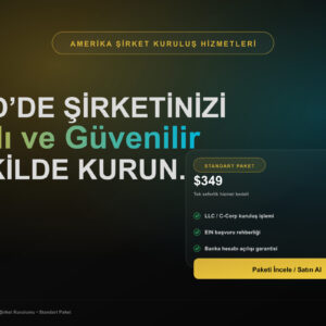 amerika-sirket-kurulumu-standart-paket